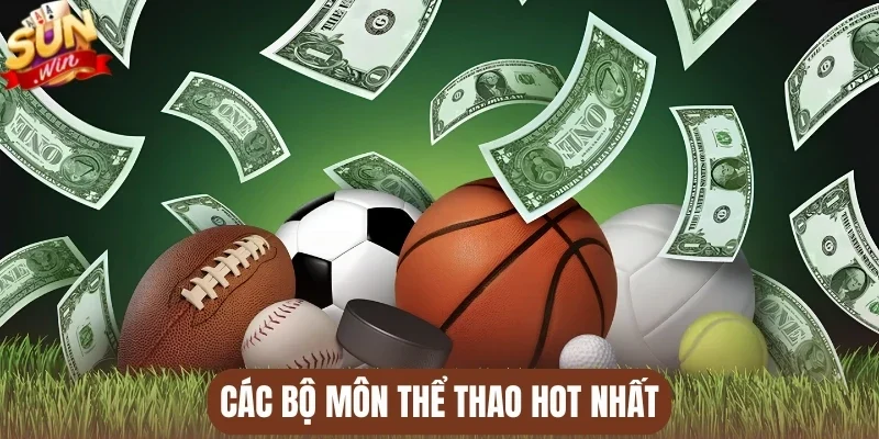 Các bộ môn thể thao hot nhất