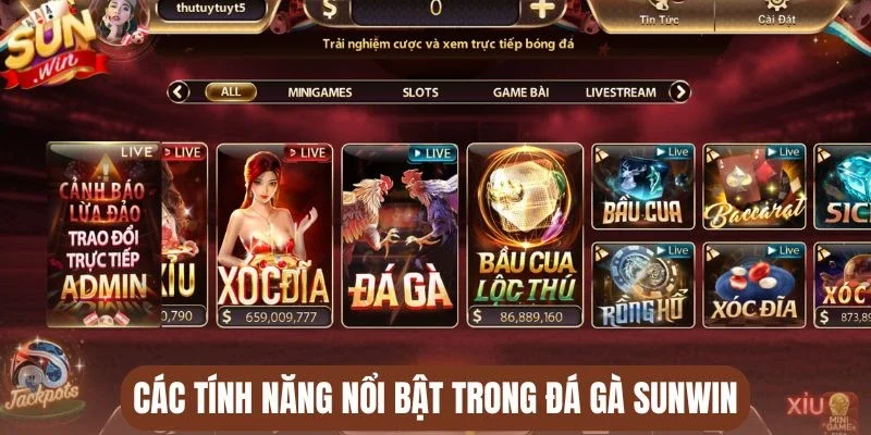 Các tính năng nổi bật trong đá gà Sunwin