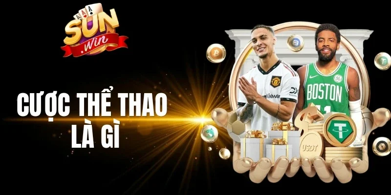 Các bộ môn thể thao hot nhất