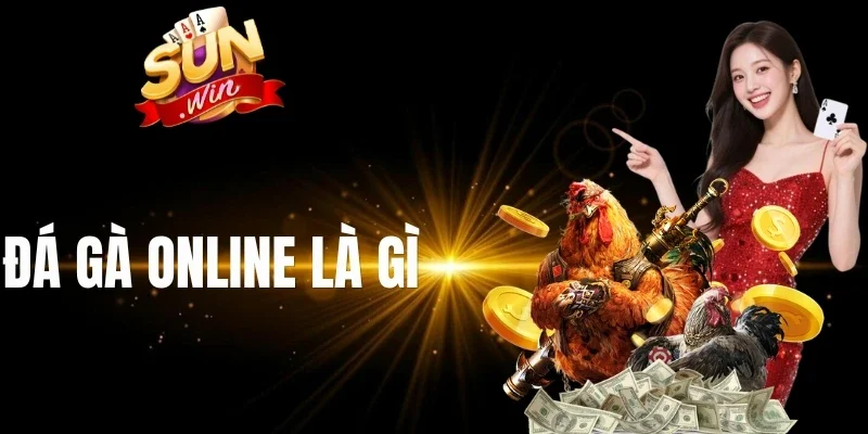 Những quy định trong đá gà online