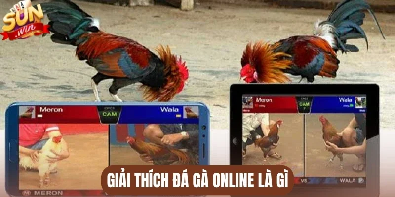 Giải thích đá gà online là gì