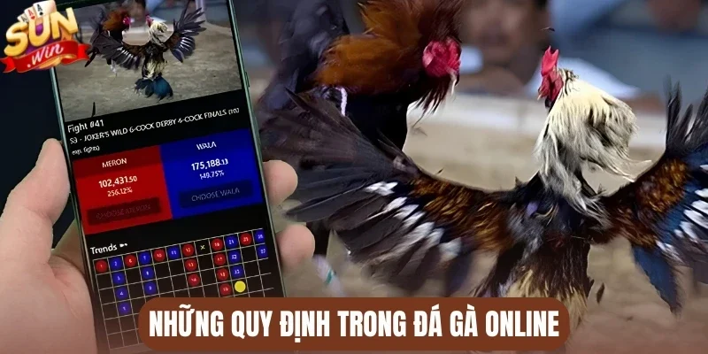 Những quy định trong đá gà online