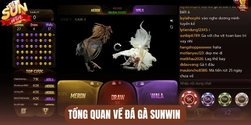 Tổng quan về đá gà Sunwin 